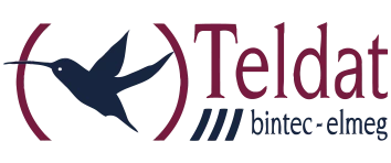 Teldat, Bintec, Funkwerk